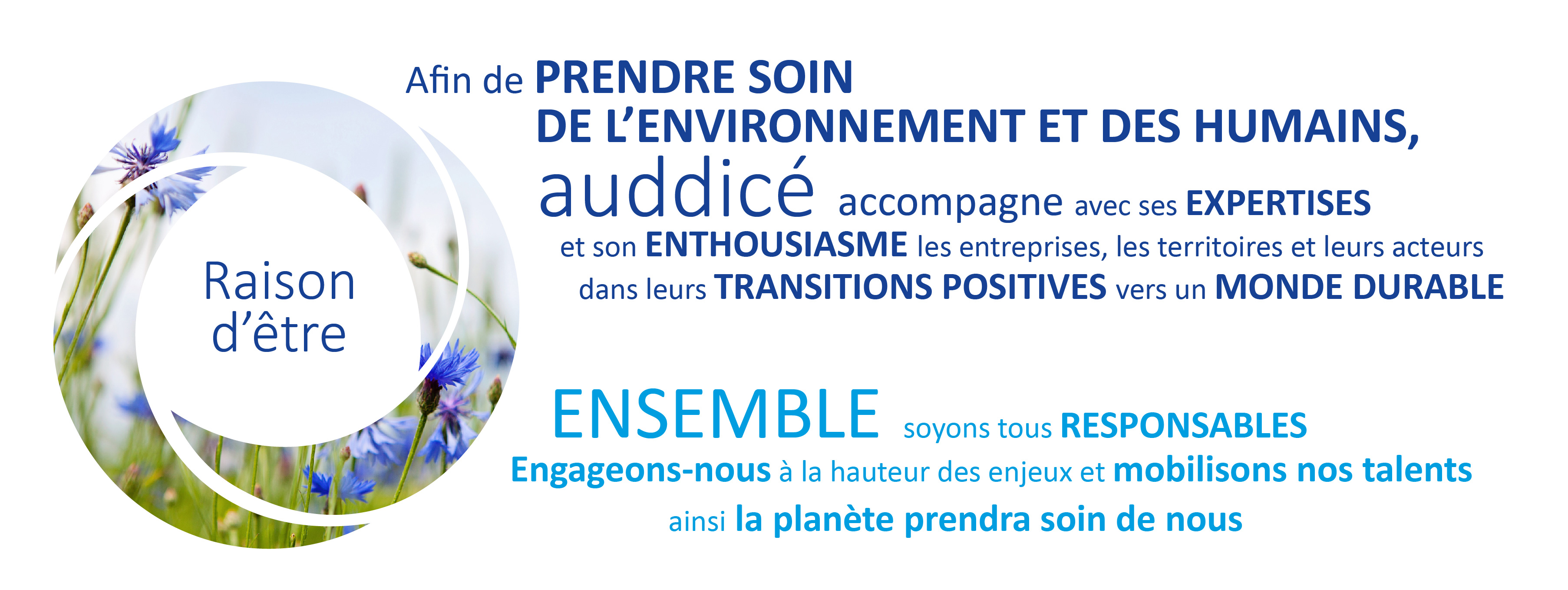 notre équipe